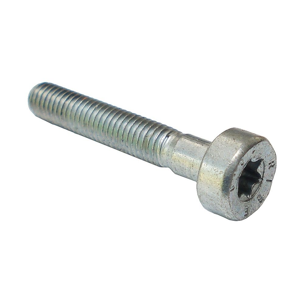 STIHL SPLINE SCREW M5 X 30 (9022 341 1070)